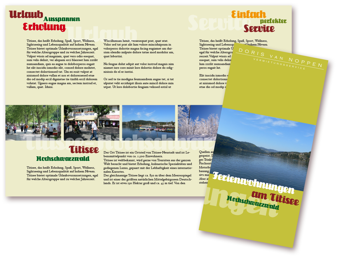 dvnp_flyer_vermietungsservice_01_comp