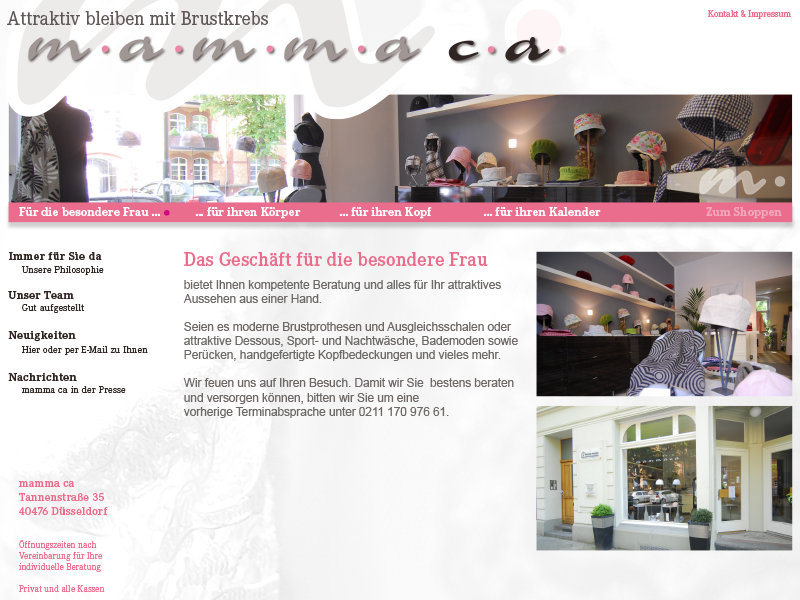 mmca_website_layout_12
